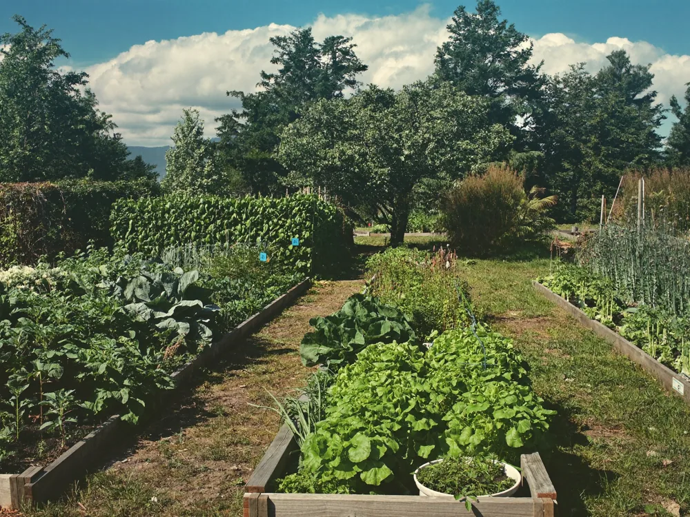 Food accessibility partnerships — CAI