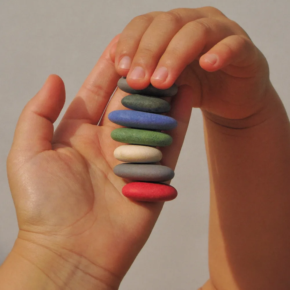 Salvaggio Academy tuition-free STEM school — CAI