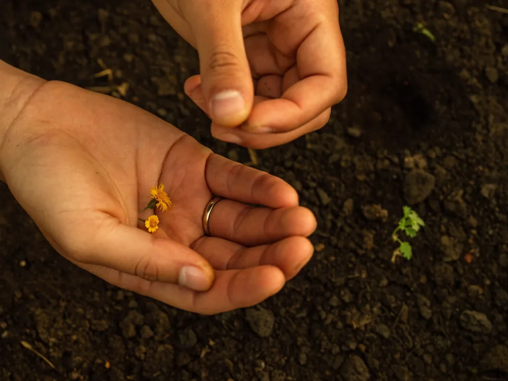 Harit environmental action program — HCL Technologies